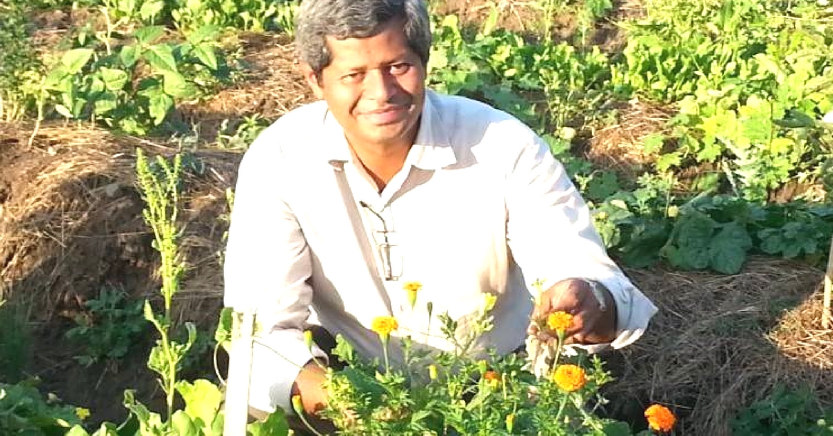 At the Age of 50, This Man Decided to Give up His Successful Business to Take up Farming