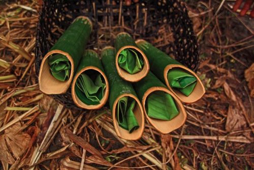 Apong, local rice wine made by the Adi Tribe in Arunachal Pradesh, served in hollow bamboo canes with a leaf stuffed to constrict the flow 