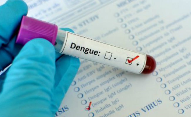 dengue-testing-1