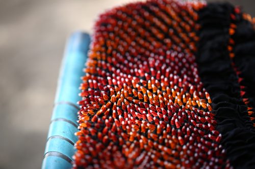 A fine example of the beauty that is created by hands, Bandhani. Women artisans tie tiny dots of fabric which is then dyed by a master artisan. The craft has been practiced for over a century.