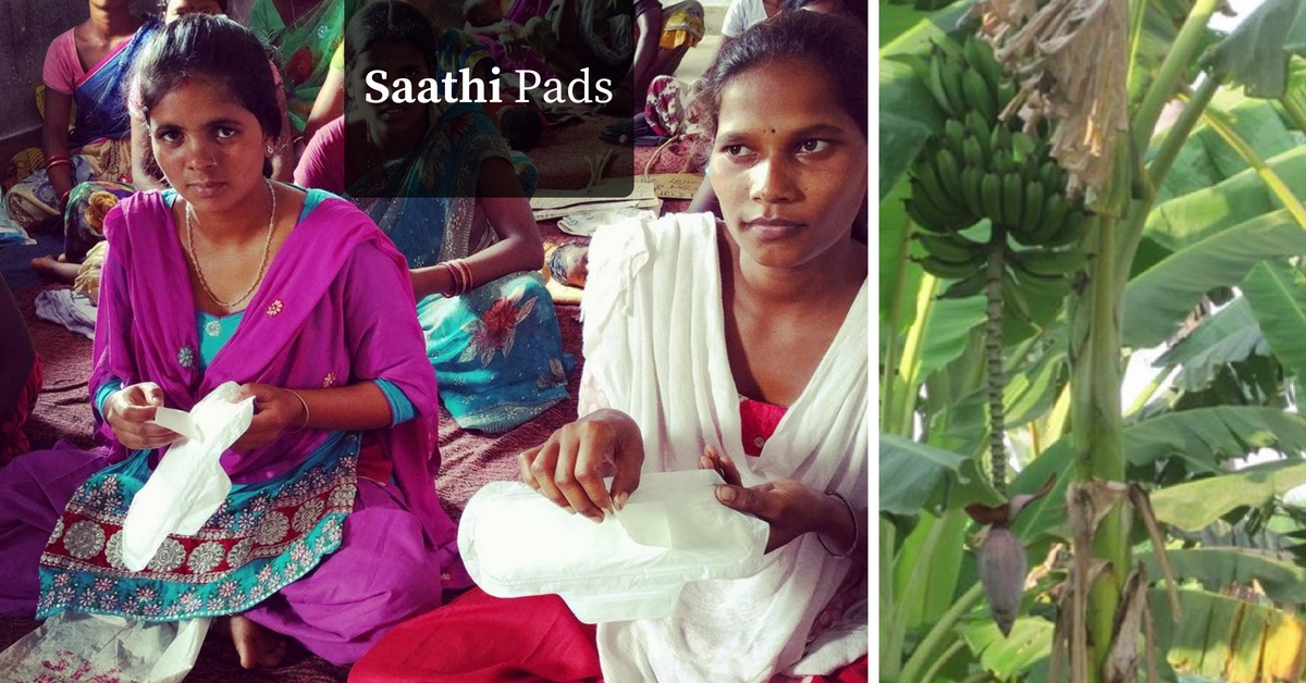 Could banana plants solve India's sanitary pad problem?