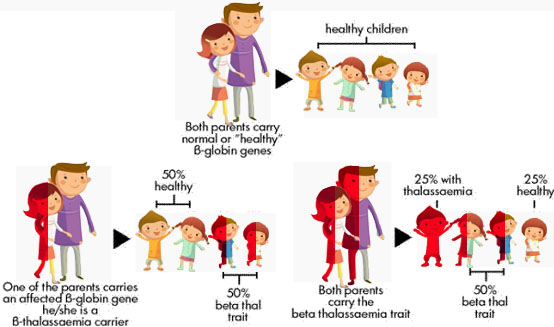 thalassaemia-2