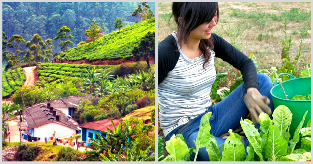 Holidaying with Nature: This Organisation Lets You Live and Learn on Organic Farms While You Travel