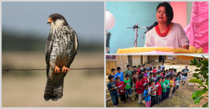 Flight of Freedom: Meet the Lady Who Saved Nagaland's Amur Falcons