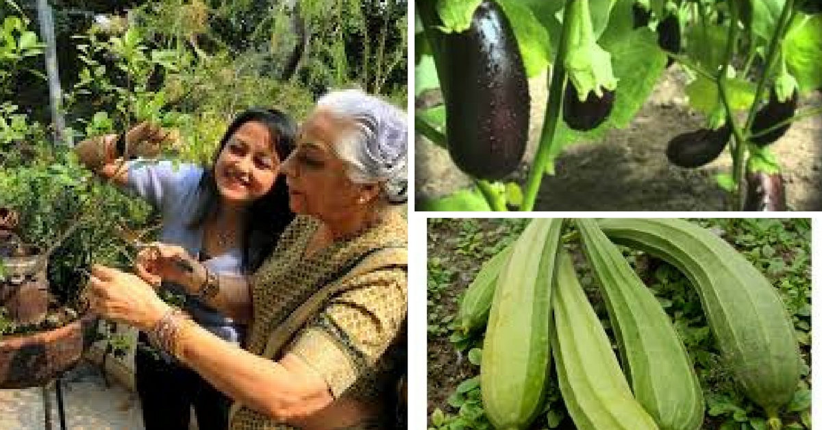 Gurgaon Residents Have a New Weekend Hobby: Grow Their Own Vegetables on Land Leased from the Govt