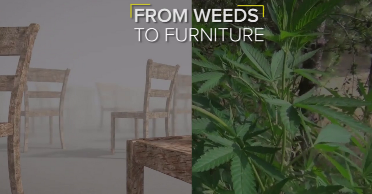 VIDEO: These Tribal Craftsmen Are Converting Weeds into Furniture