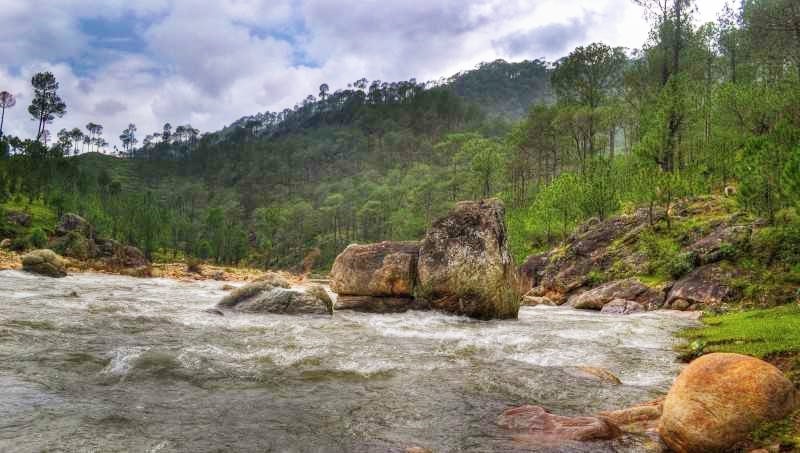 #TravelTales: Exploring the Kumaoni Village Where Bob Dylan, George Harrison and Nehru Vacationed