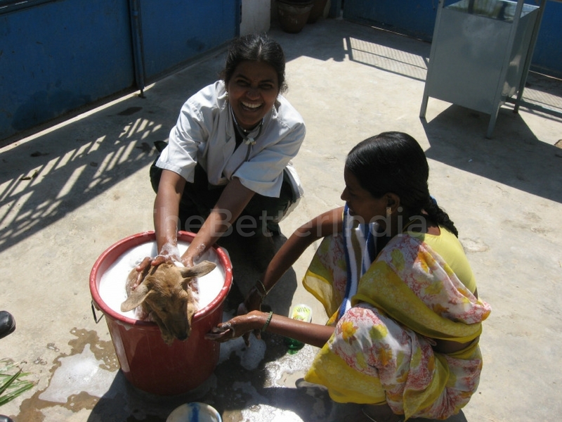 arunachala2