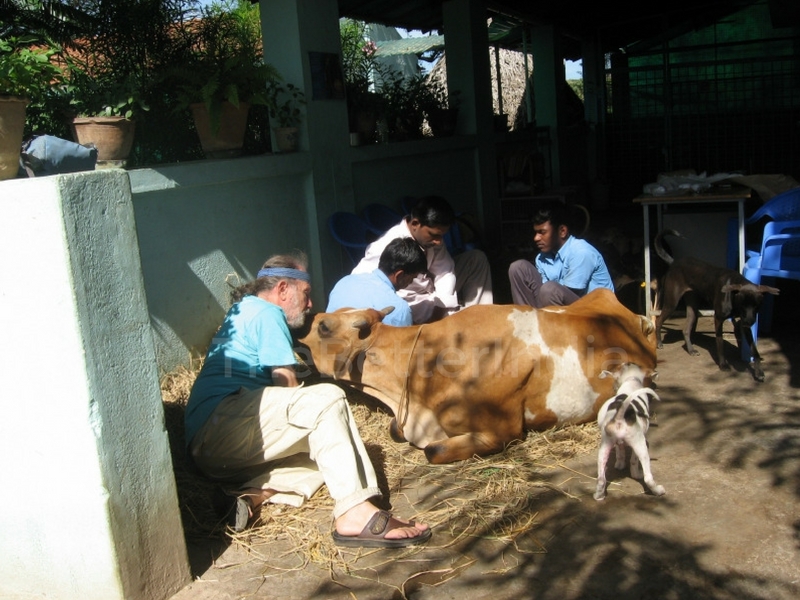 arunachala3