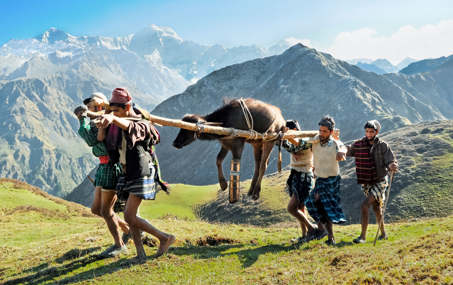 Nomads of the Himalayas : A Fascinating Glimpse into the Rarely-Seen Forest World of the Van Gujjars