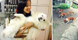 This Girl Celebrated Her Dog's 14th Birthday by Treating 70 Street Dogs to the Bash of a Lifetime!