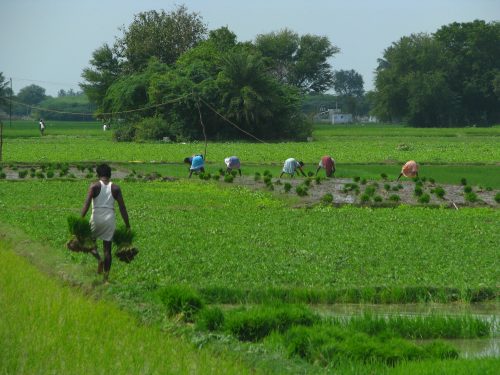 telangana