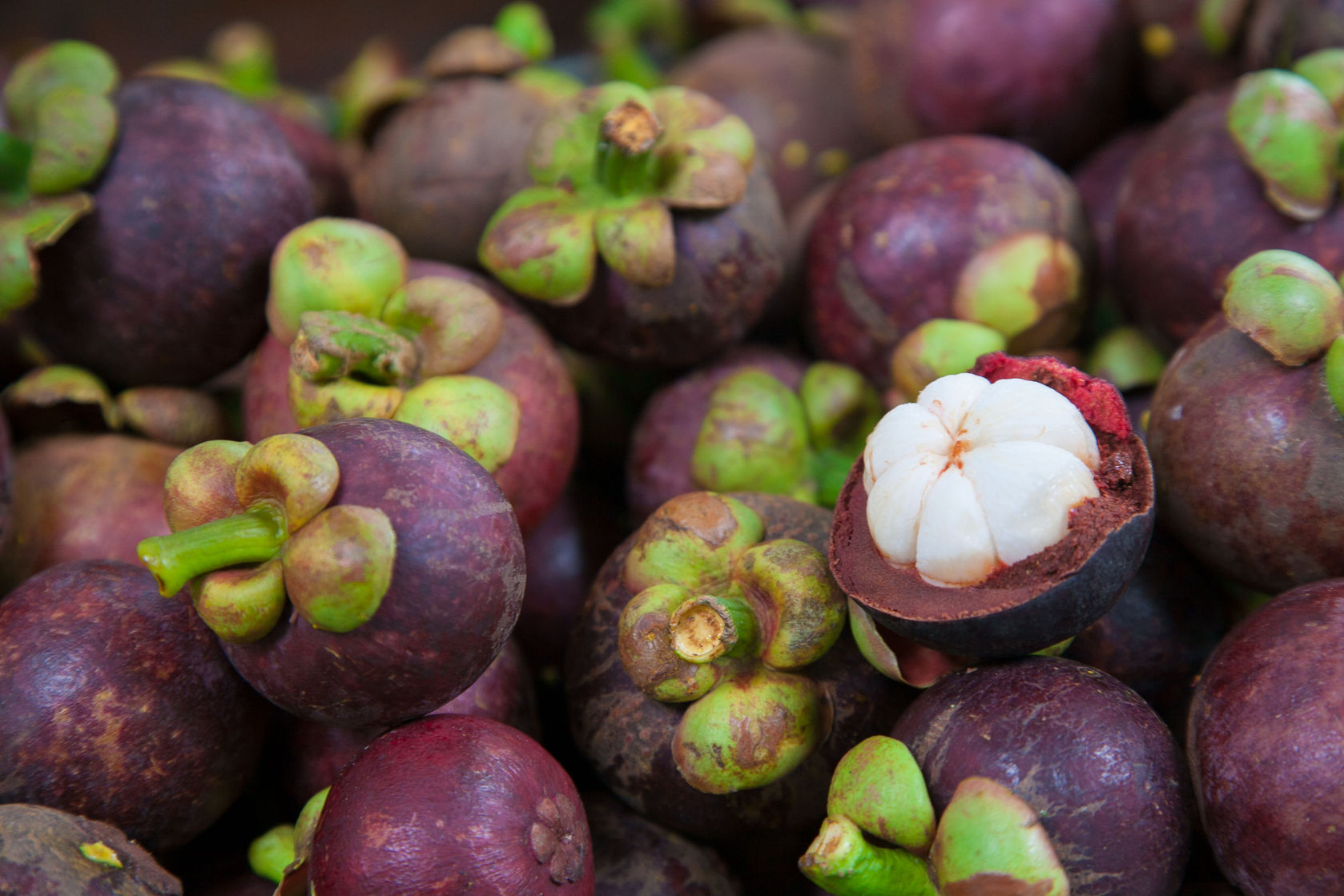 buah mangosteen