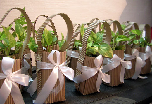 5_green-party-favors-and-gifting-ideas-to-present-plants-and-flowers-for-any-special-occasion_beautiful-gifts-for-little-gardeners