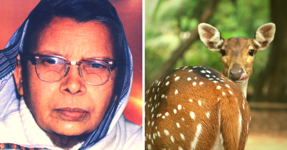 5 Beautiful Stories on Animals by Mahadevi Verma – A Strong Advocate against Animal Cruelty