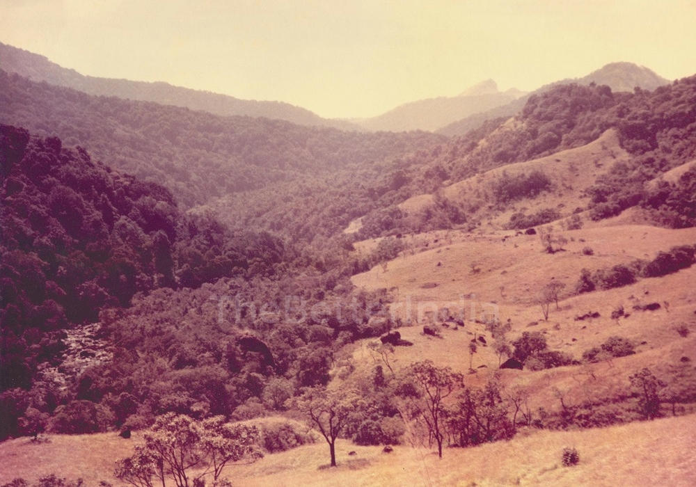 Silent Valley, 1979