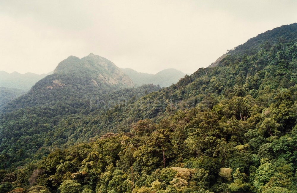 Silent Valley, 2006