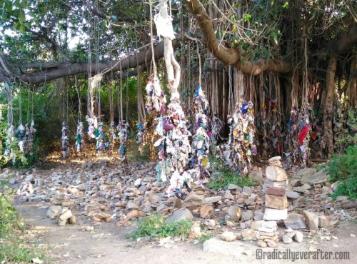 Hampi, Karnataka, prayer tree