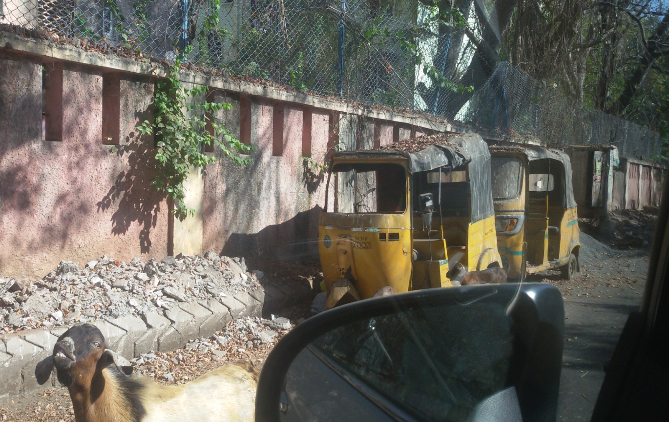 Abandoned auto rickshaws identified in Besant Nagar, Chennai