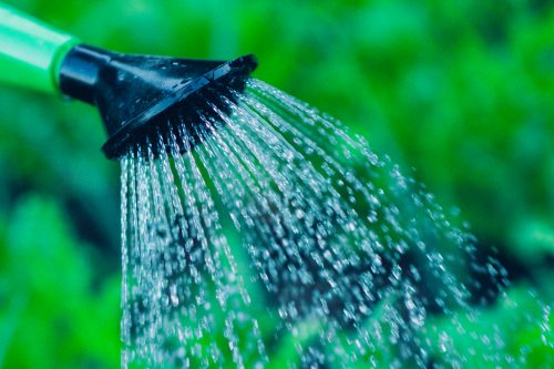 Watering Plants