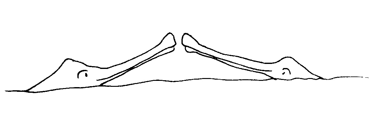 5-gharial