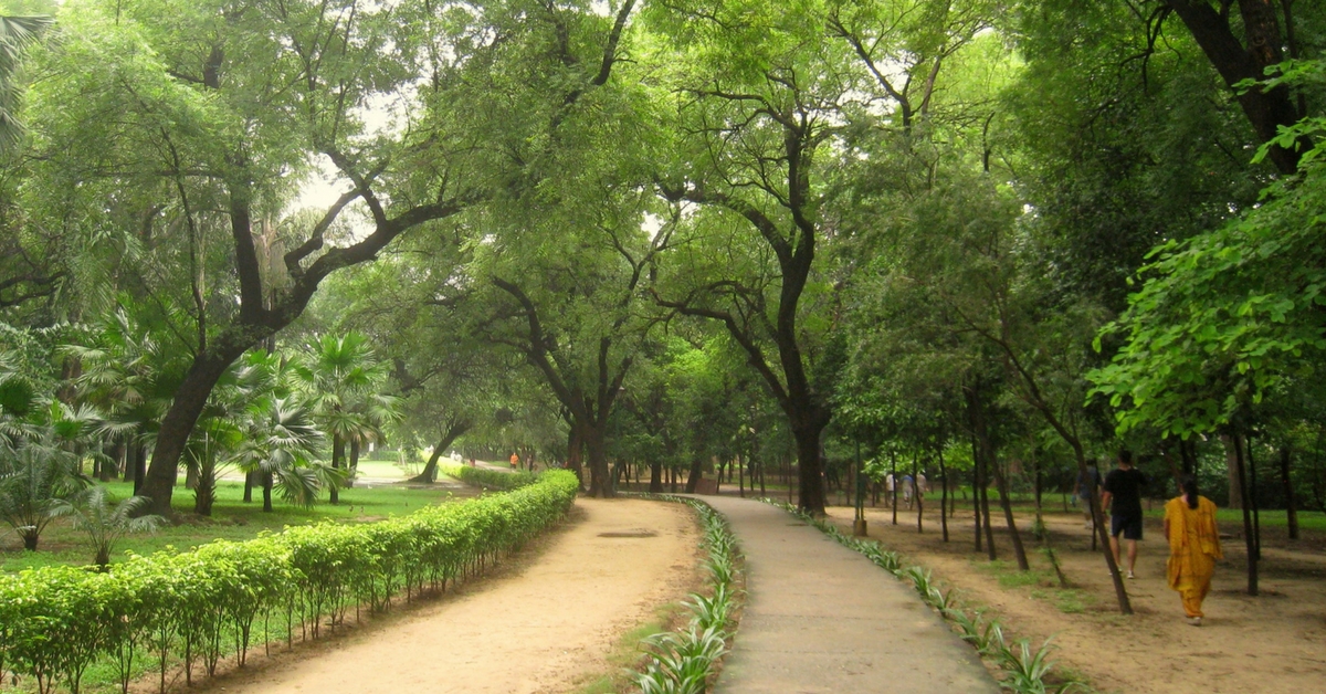 TBI Blogs: The Hands That Nurture Delhi’s Famous Lodhi Garden