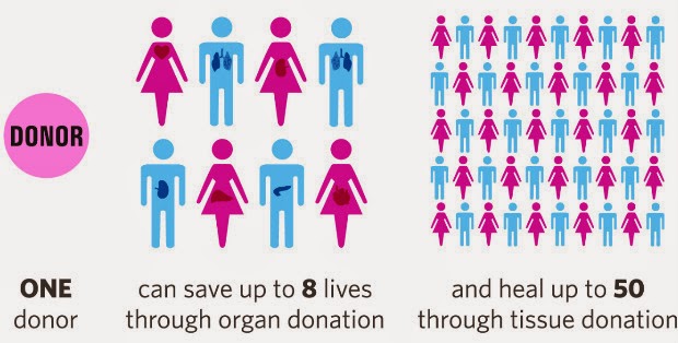 donation-infographic