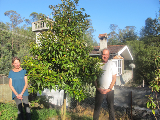 Robert Stewart and Tanya Balcar. Growing one of the rarest trees in the world - Elaeocarpus blascoi 