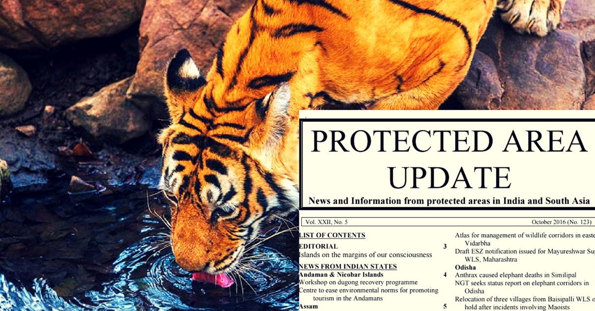 Protected Area Update: A Go-To Guide for India’s Wildlife Sanctuaries and Wildlife National Parks