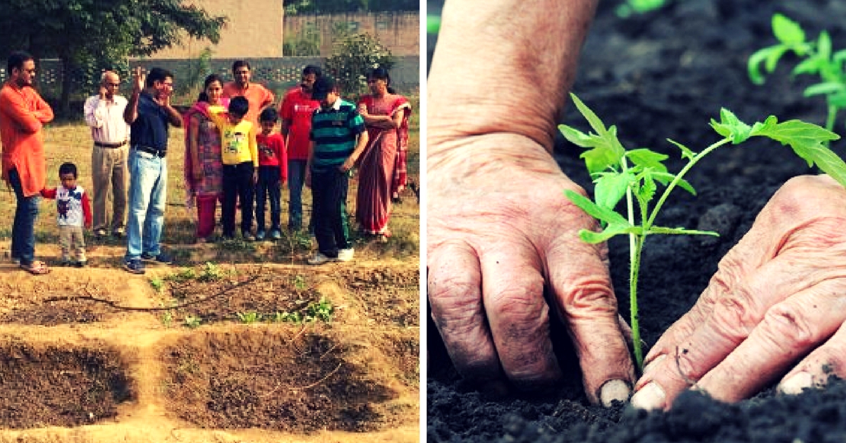 How Six Families Joined Hands to Grow Their Own Organic Food in Noida