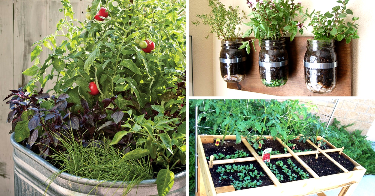  Space Savvy Easy And Efficient Urban Gardening Ideas