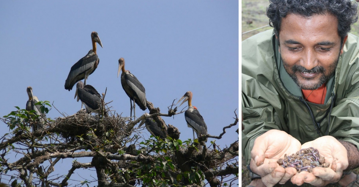 Saving Birds And Restoring Unique Eco-Systems: Meet the Green Warriors of India