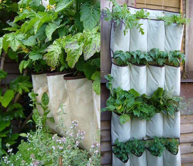 5 Space Savvy, Easy and Efficient Urban Gardening Ideas