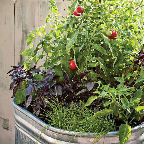 container-garden-0410