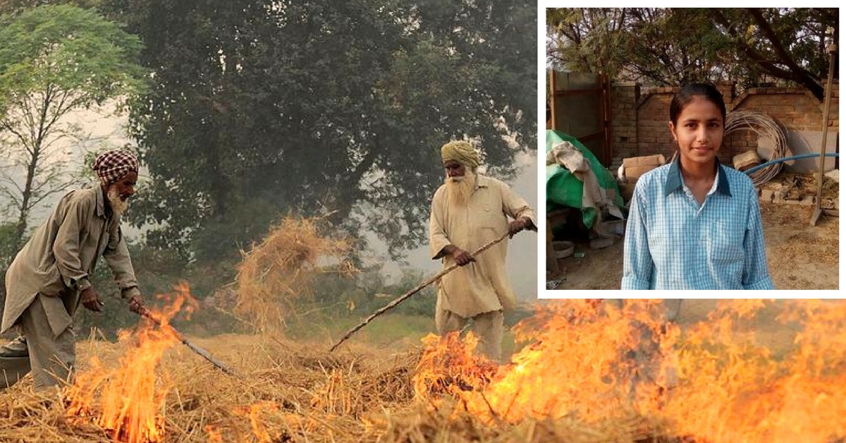 Haryana Girl Takes a Brave Stand against Air Pollution, Reports Her Father for Stubble Burning