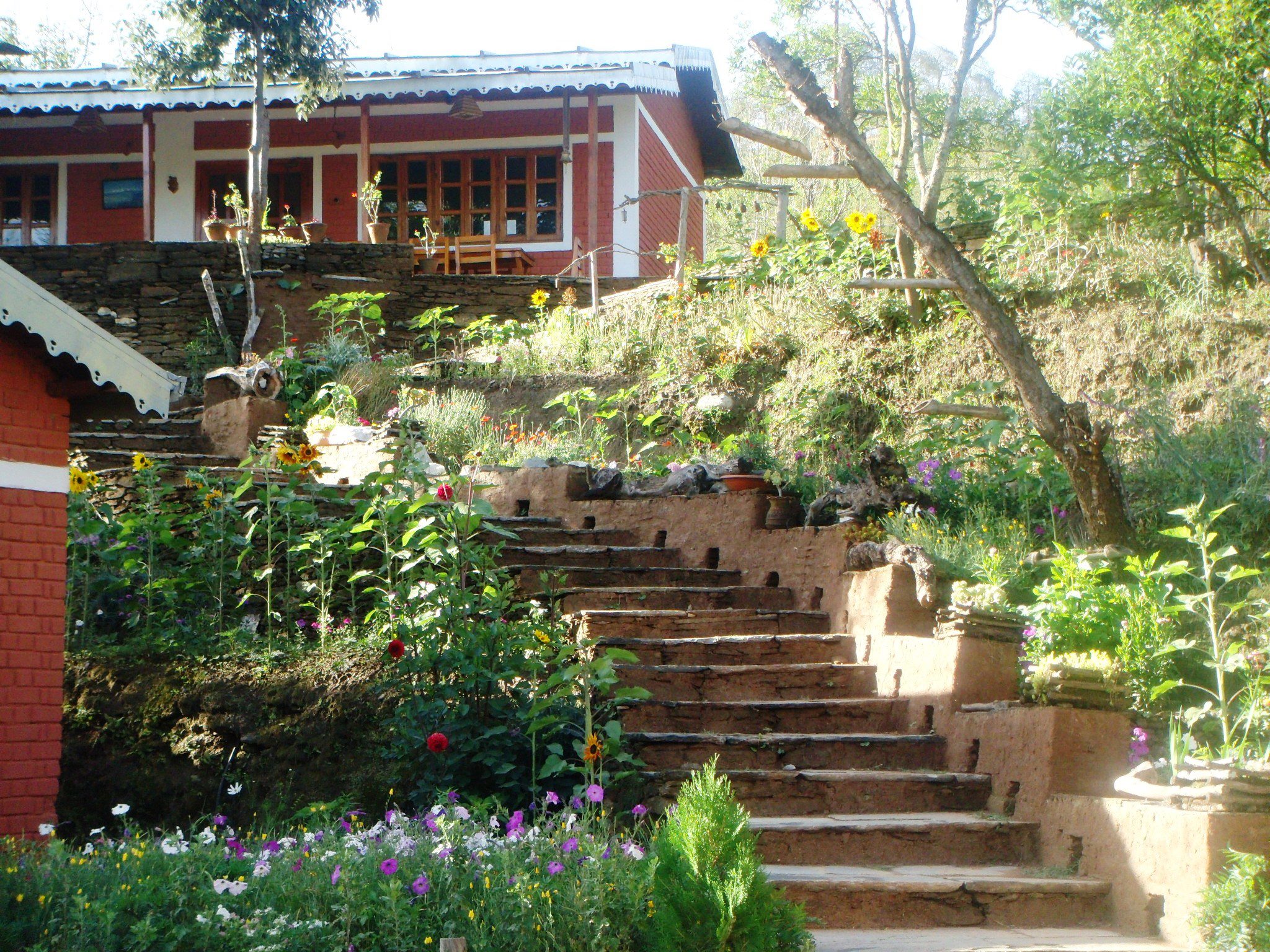 The Himalayan Resort where the film festival is held