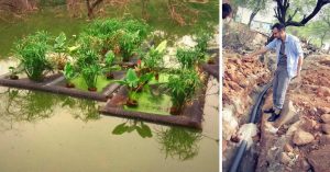 Delhiites, Check out This Ecological Engineer's Super Innovative, Natural Idea to Reduce Pollution in Water Bodies