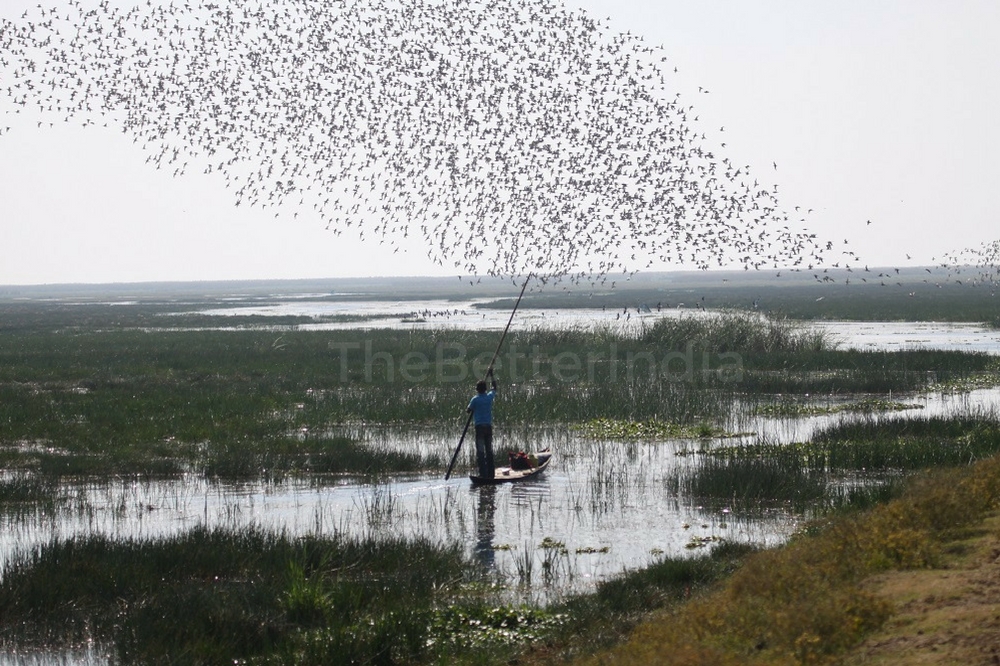 chilika3