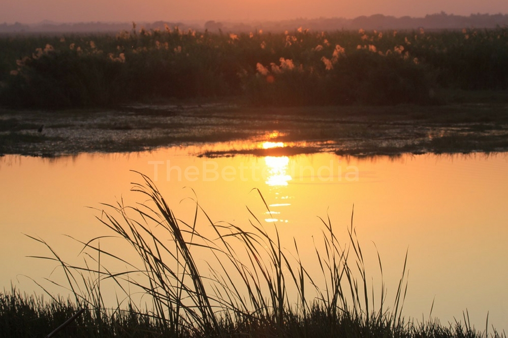 chilika6