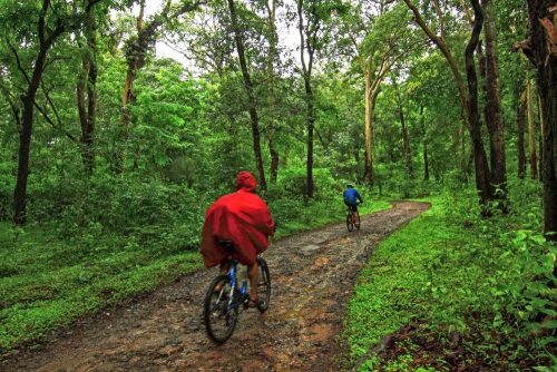 coorg_cycling_monsoon