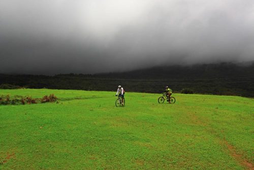 coorg_grasslands_cycling_zpse315df58