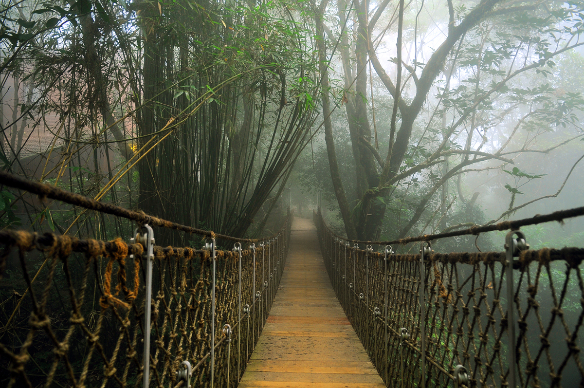 hanging-bridge-at-vythiri-resort