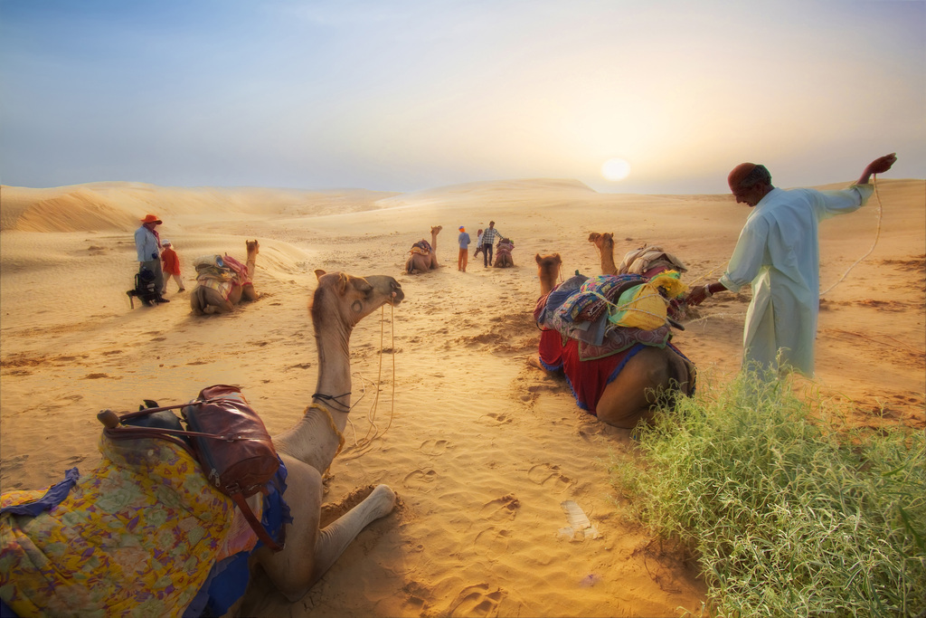 ind-jaisalmercamelsafari