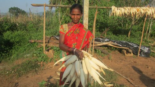  Most women like Majia Kumuruka have taken to cultivating nutrition gardens in their backyard. (Credit: Rakhi Ghosh\WFS)