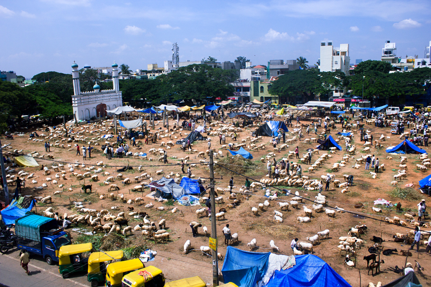 Workers at construction site