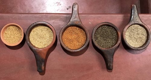 A variety of millets Image: Author