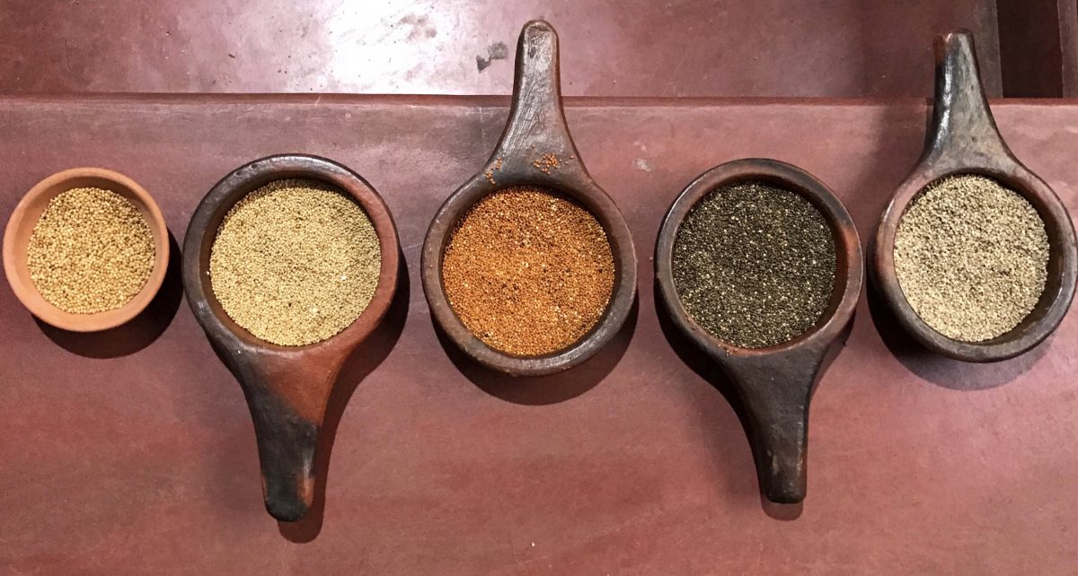 TBI Blogs: Here’s How 13 Half-Marathons Hope to Bring Millets Back into Indian Diets