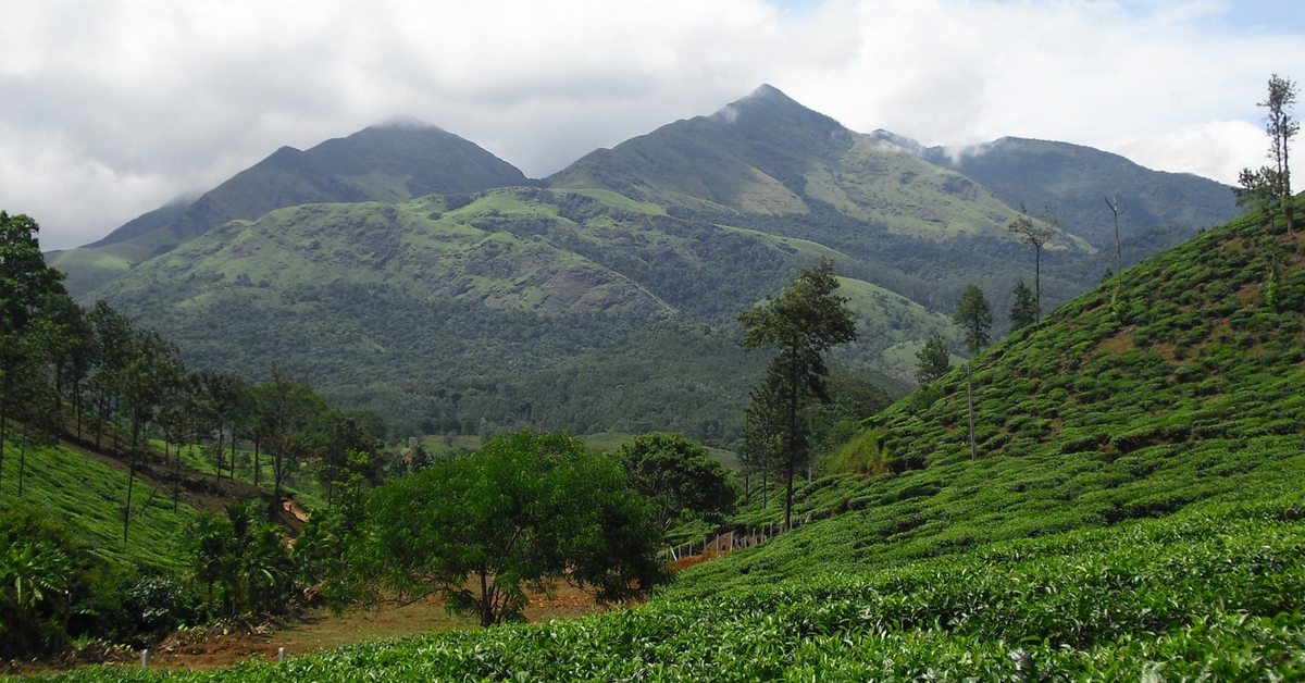 TBI Blogs: Watch How Individuals & Organisations Are Trying to Preserve the Rich Biodiversity of Wayanad