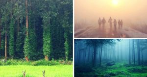 #TravelTales: Did You Know That It Snows in South India? Yes, in Just This One Picturesque Village!