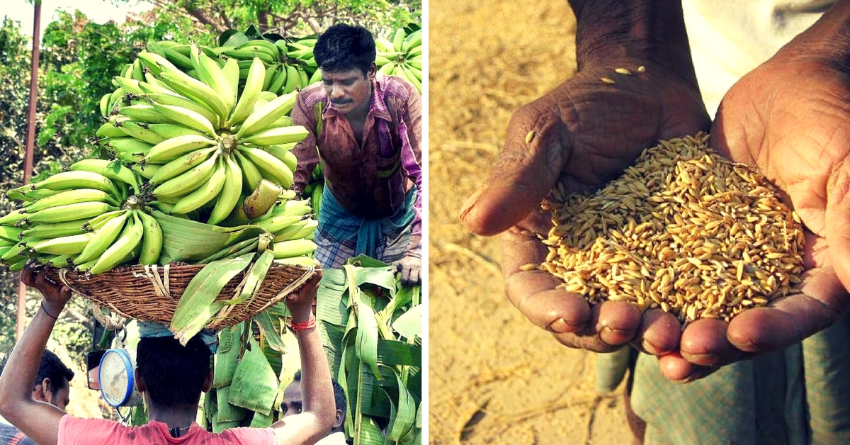 Thanks to These 5 Rural Communities, Traditional Indian Plant Varieties Are Making a Comeback!